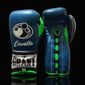 Grant Leather Boxing Set Blue/Green Gym Training Kit