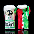 Grant Silver/Green/Red Boxing Gloves Beginner Friendly Training Gloves