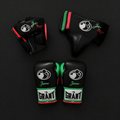 Grant Boxing Set Black/Red/Green 14oz Gloves with Headguard Training Kit