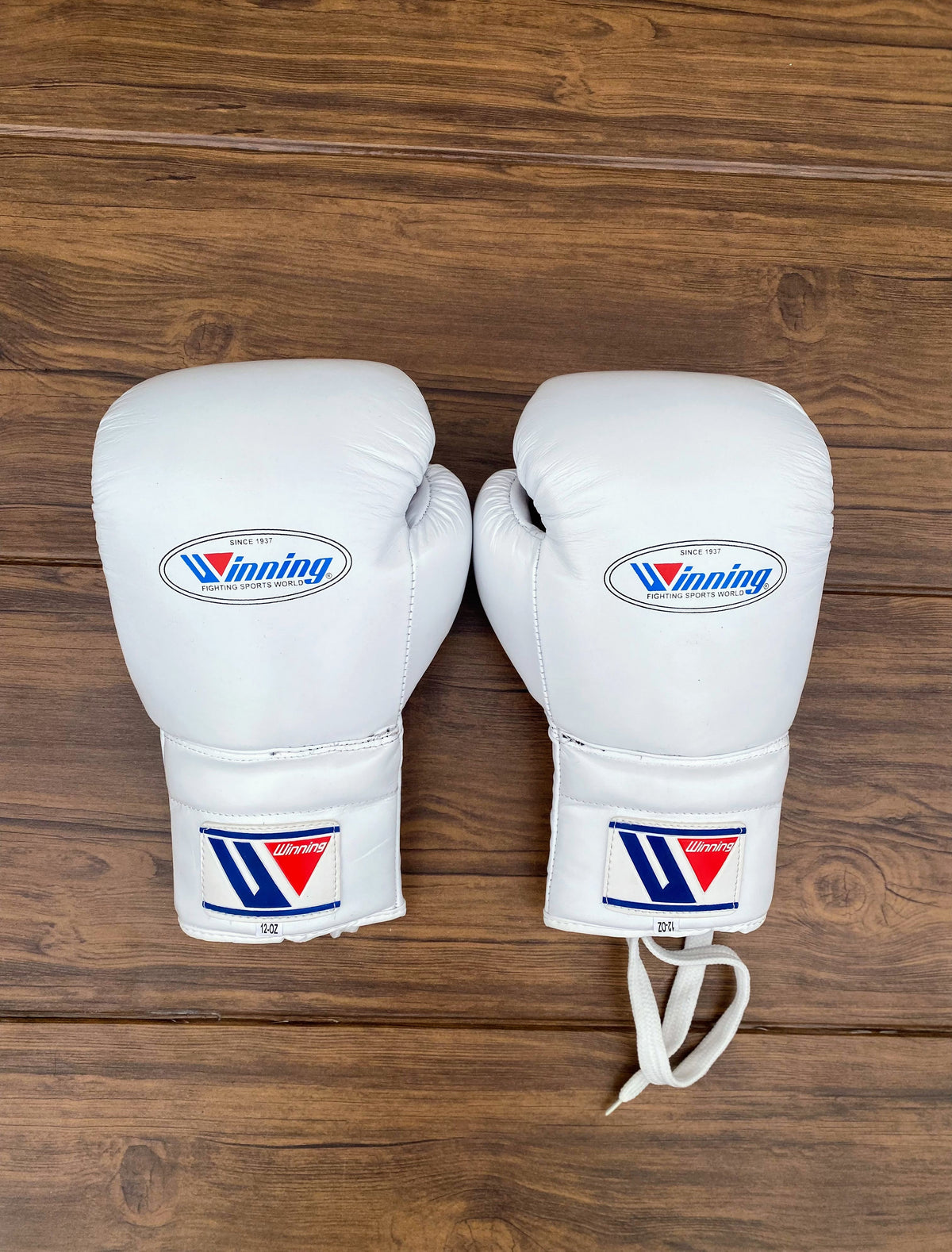 Winning Boxing Set White 14oz Gloves Back View
