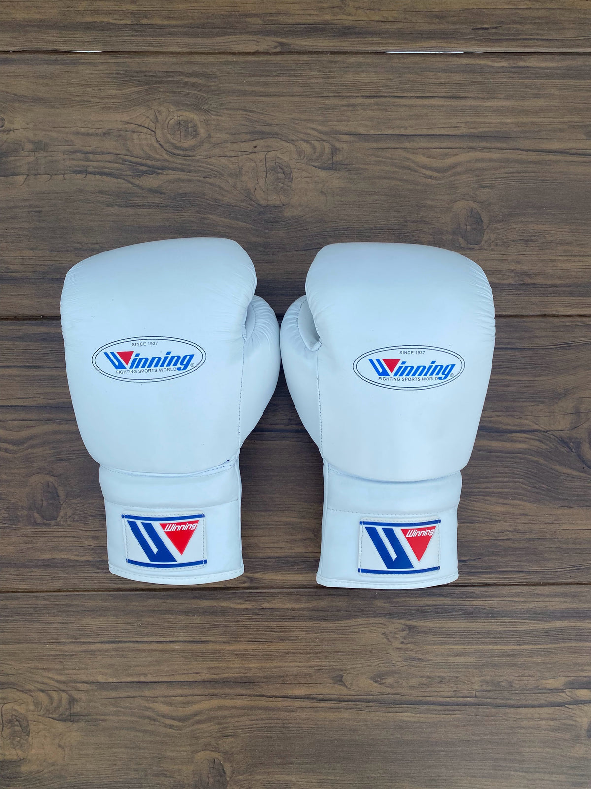 Winning Boxing Set White Lace-Up Gloves Back View