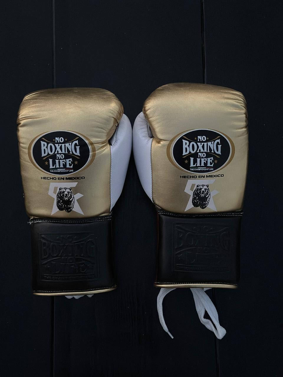 No Boxing No Life Gloves Gold/Brown/Black/White Training Gloves Back View