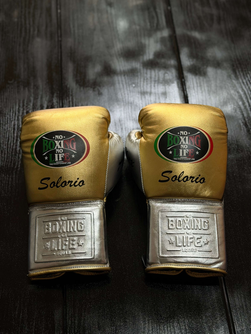 No Boxing No Life Gloves Gold/Silver Leather Training Gloves Back View