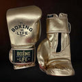 No Boxing No Life Grey Golden Boxing Gloves Beginner Friendly Training 