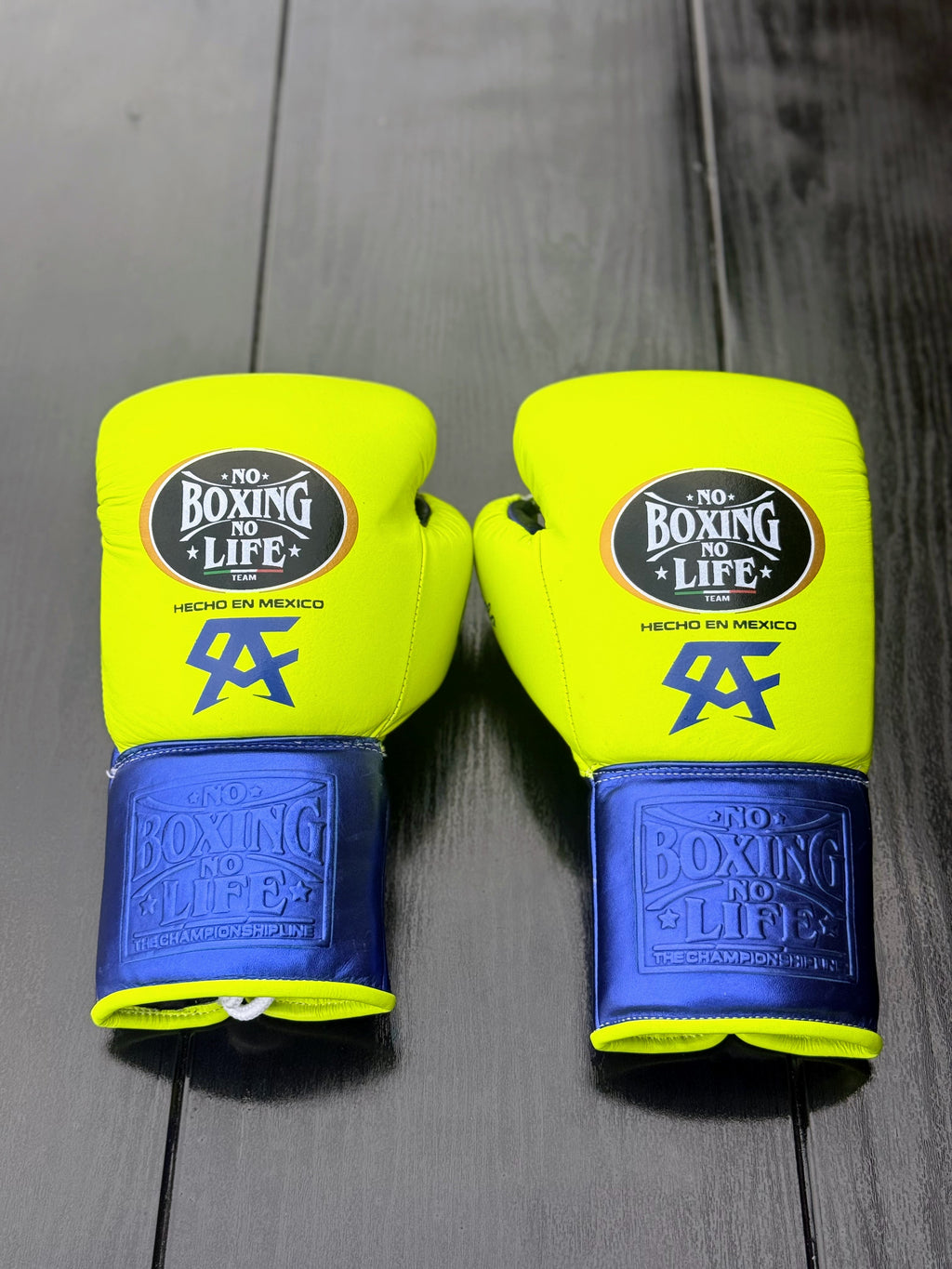 No Boxing No Life Gloves Parrot/Blue Padded Leather Gloves Back View