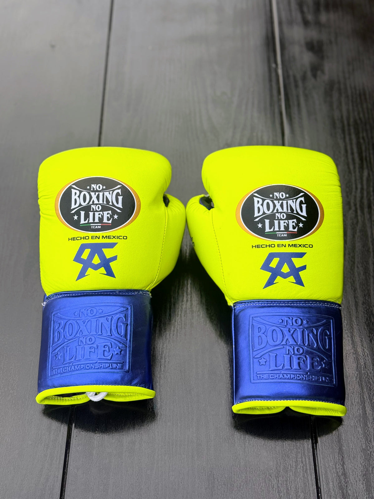No Boxing No Life Gloves Parrot/Blue Padded Leather Gloves Back View