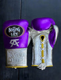 No Boxing No Life Purple/Silver/Gold Boxing Gloves Premium Quality Training