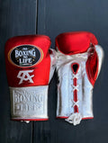 No Boxing No Life Red/Silver Boxing Gloves Premium Gym Training Pair
