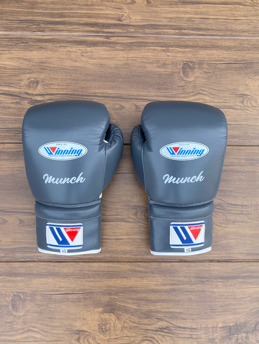 Winning Leather Boxing Set Grey Sparring Set FGloves Back View