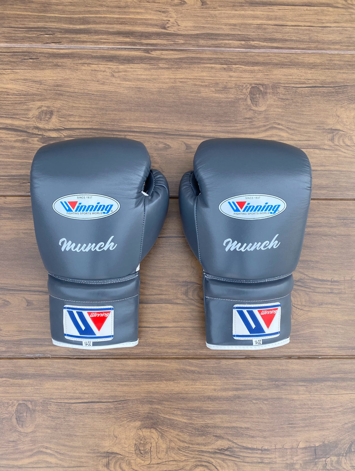 Winning Leather Boxing Set Grey Sparring Set FGloves Back View