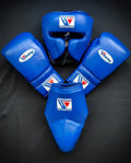 Winning Boxing Sets Blue Leather Training Set for Intense Sessions