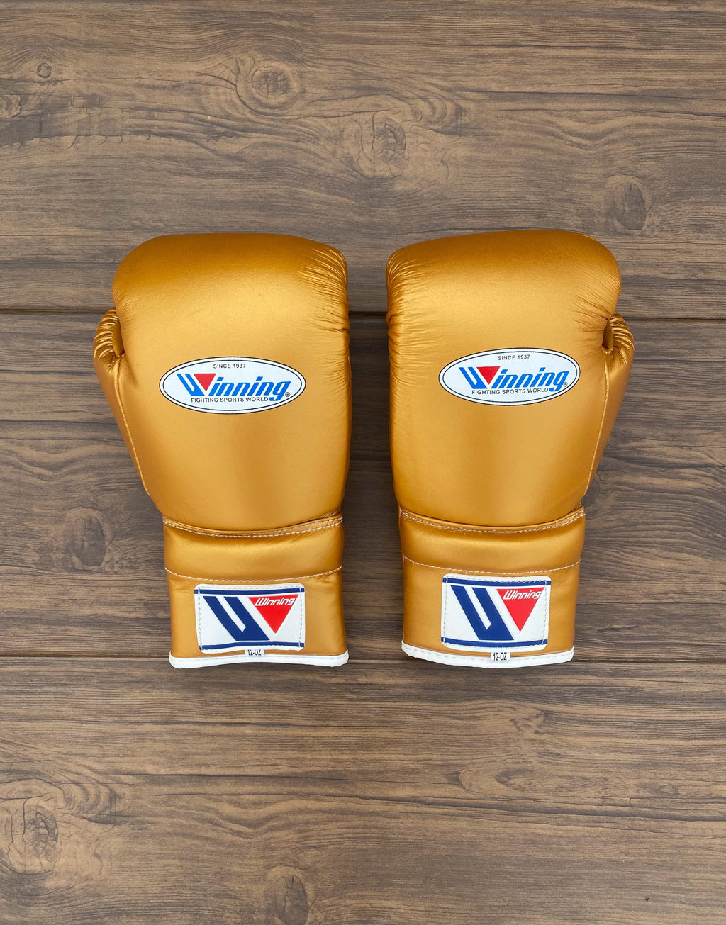 Winning Boxing Set Gold 14oz Gloves Back View